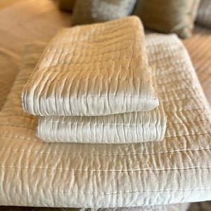 Pottery Barn Queen Comforter and Pillow shams